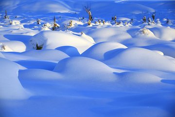 1546843342514820.jpg 2.jpg