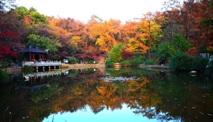 1546925886927090.jpg 1.jpg