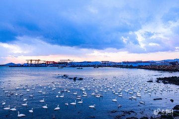 1546945207398250.jpg 1.jpg