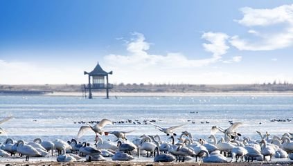 1546945215748315.jpg 2.jpg