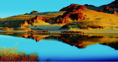 1546950679375446.jpg 1.jpg