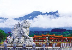 1547081598942346.jpg 1.jpg