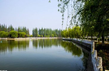 1547104822798582.jpg 1.jpg